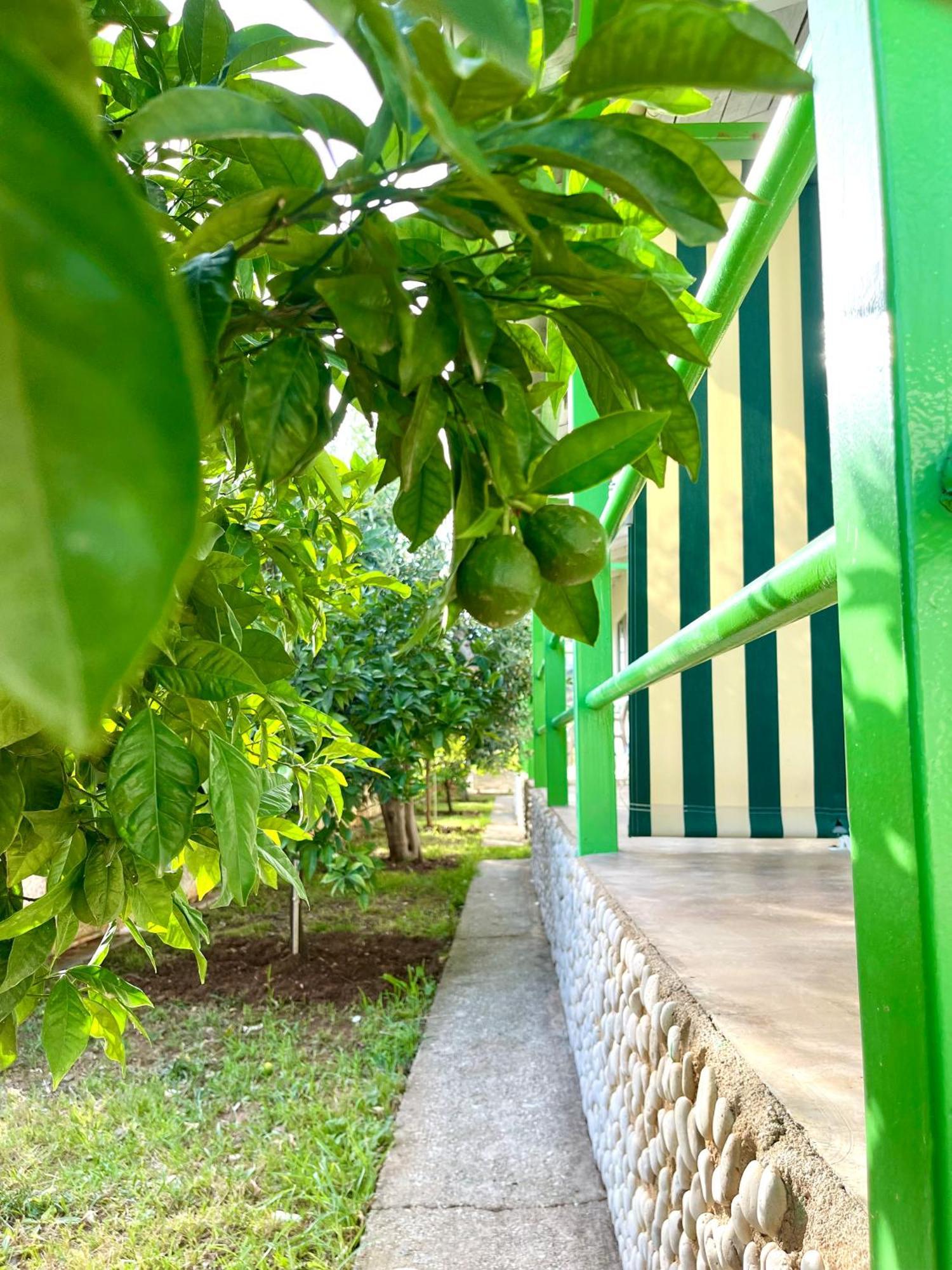 Chalet Ambel Dhermi Bagian luar foto